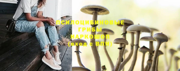 спиды Арсеньев