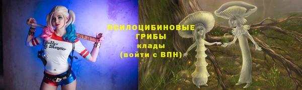 не бодяженный Аркадак