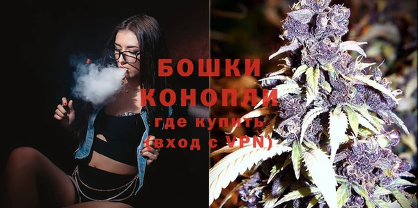 спиды Арсеньев