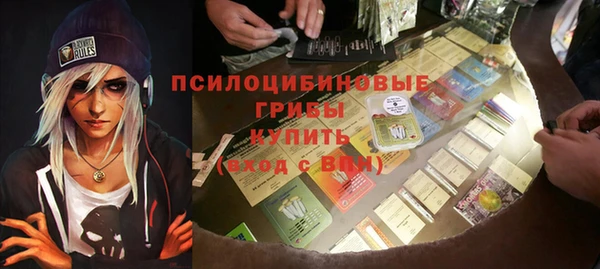спиды Арсеньев