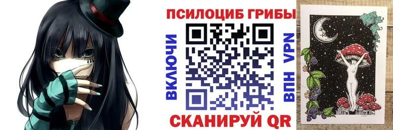 Галлюциногенные грибы Psilocybe  гидра зеркало  Кирсанов  где купить наркоту 